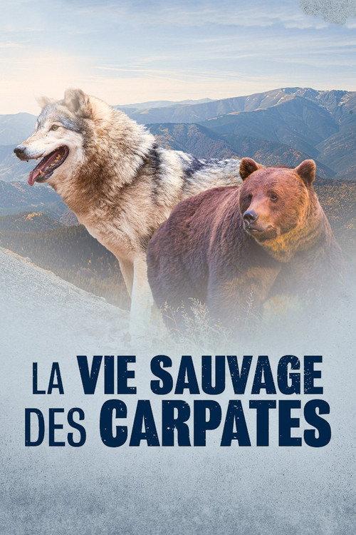 La Vie sauvage des Carpates 2020 official movie poster