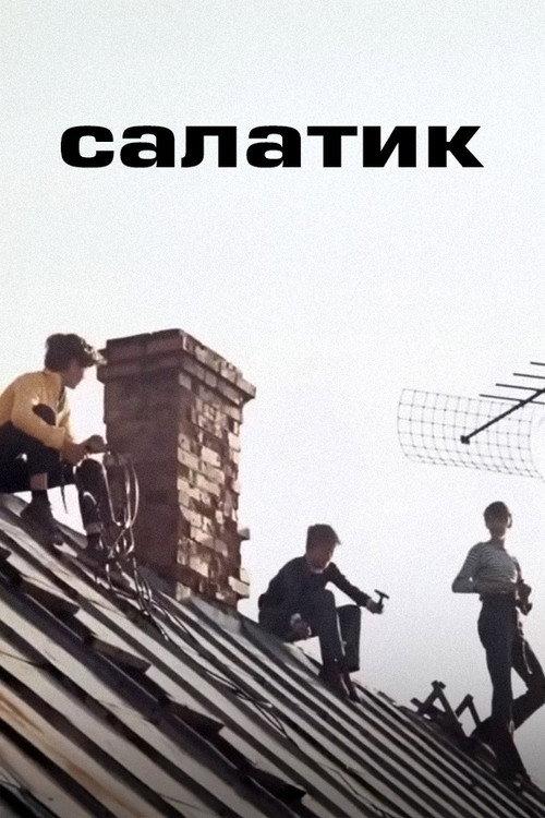 Salad 1971 official movie poster