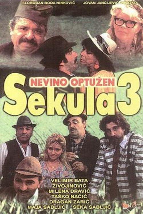 Sekula Innocent Accused 1992 official movie poster