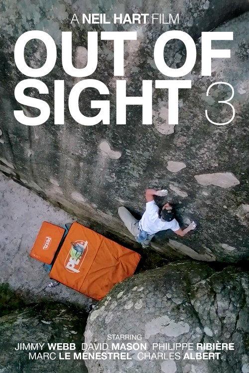 Out of Sight III 2017 official movie poster