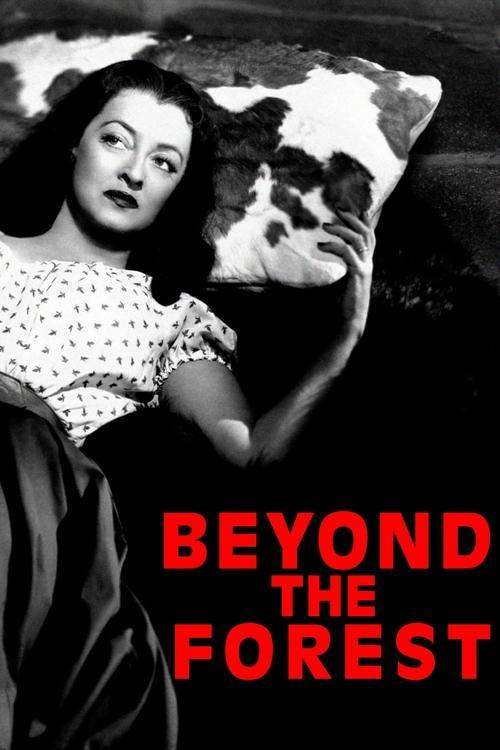 Beyond the Forest 1949 official movie poster