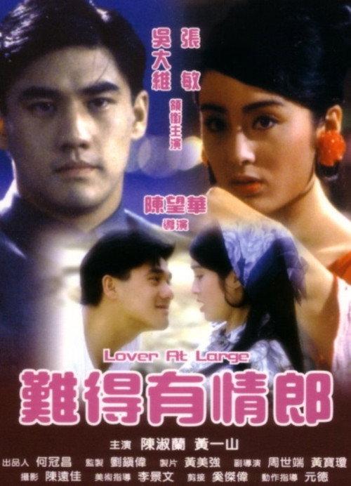Lover at Large 1991 official movie poster