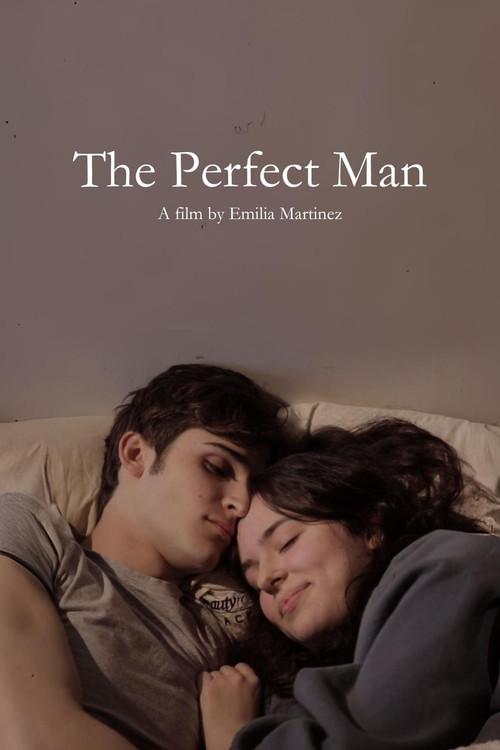 The Perfect Man 2023 official movie poster