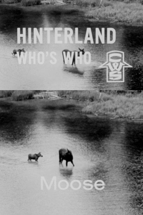 Hinterland Who's Who: Moose 1963 official movie poster