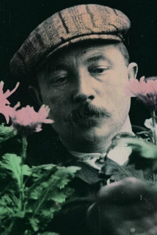 Chrysanthemum, King of Autumn 1914 official movie poster