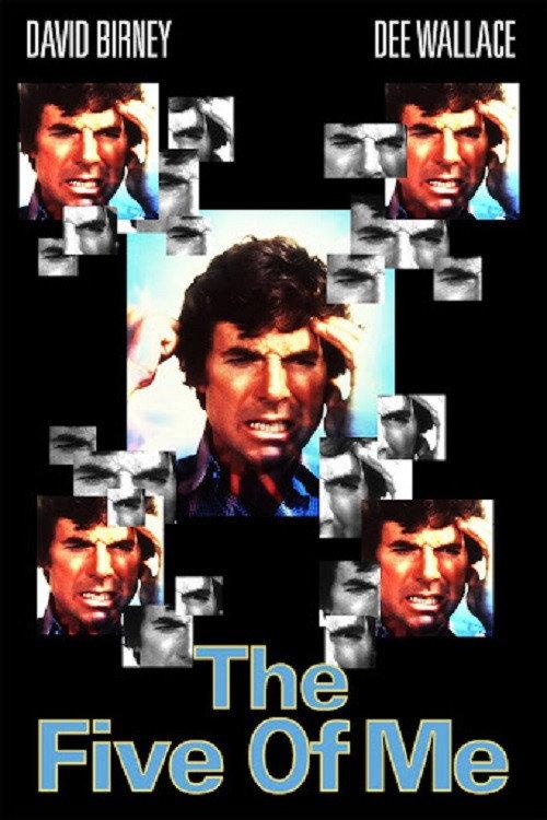 The Five of Me 1981 official movie poster