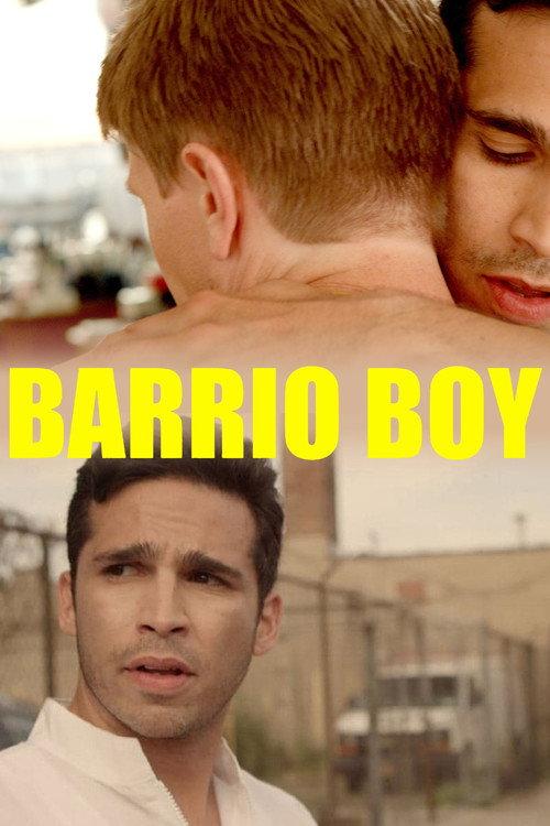 Barrio Boy 2014 official movie poster