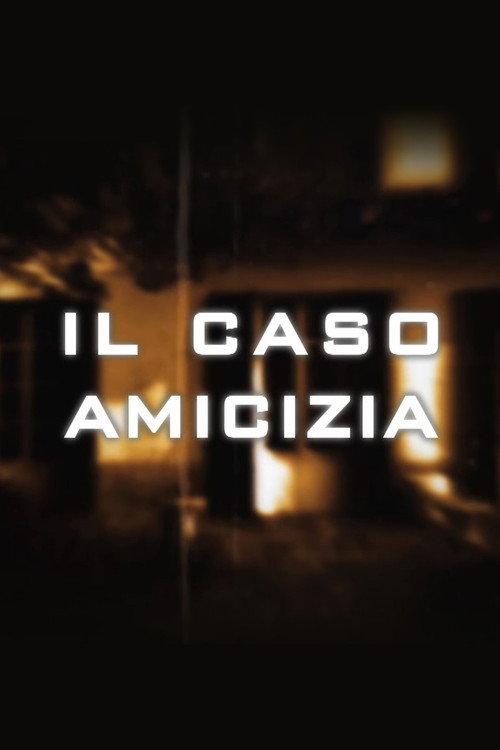 Il caso Amicizia 2009 official movie poster