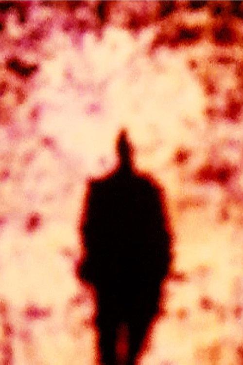 A Densa Nuve, o Seio 2020 official movie poster