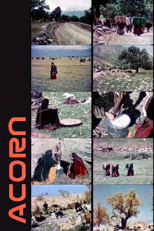 Acorn 1967 official movie poster