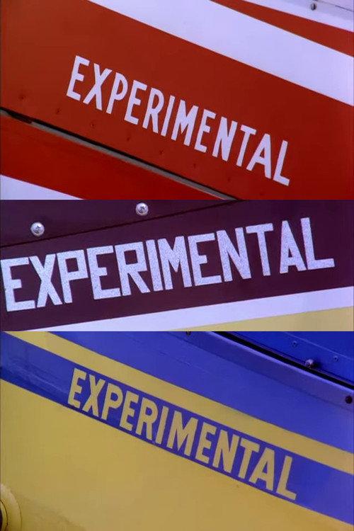 Experimental 1974 official movie poster