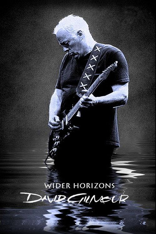 David Gilmour: Wider Horizons 2015 official movie poster