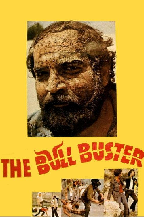 They Call Me Shmil 1973 official movie poster