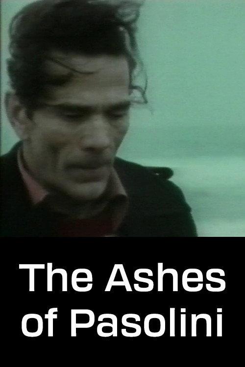 The Ashes of Pasolini 1994 official movie poster
