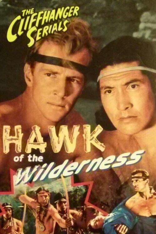 Hawk of the Wilderness 1938 official movie poster
