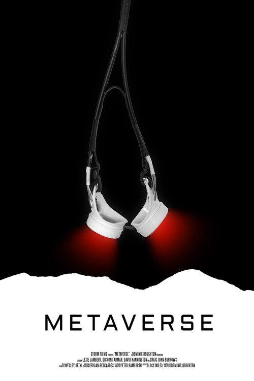 Metaverse 2017 official movie poster