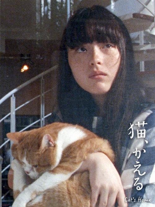 Cat's Home 2020 official movie poster