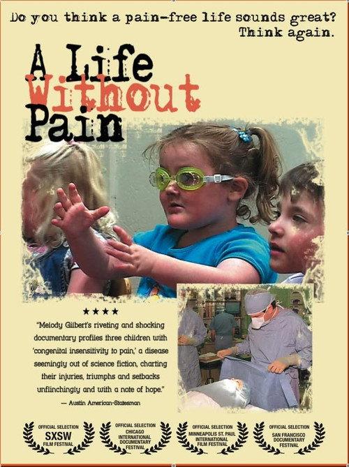 A Life Without Pain 2005 official movie poster