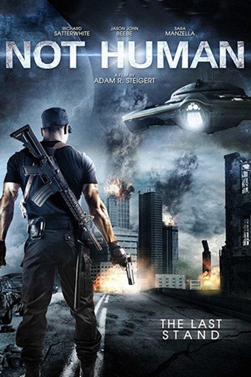 Ombis: Alien Invasion 2013 official movie poster