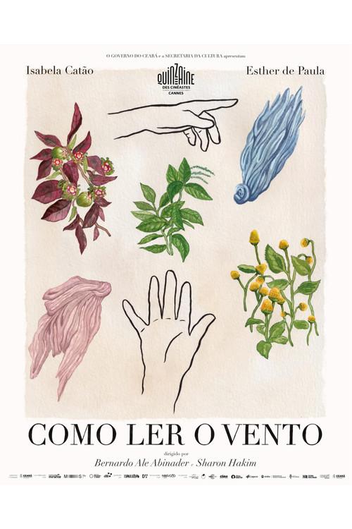 Como Ler o Vento 2025 official movie poster