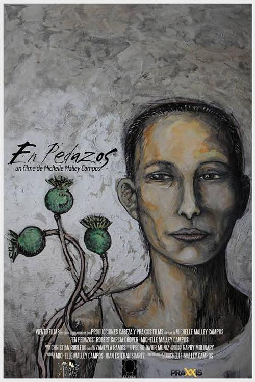 En pedazos 2015 official movie poster
