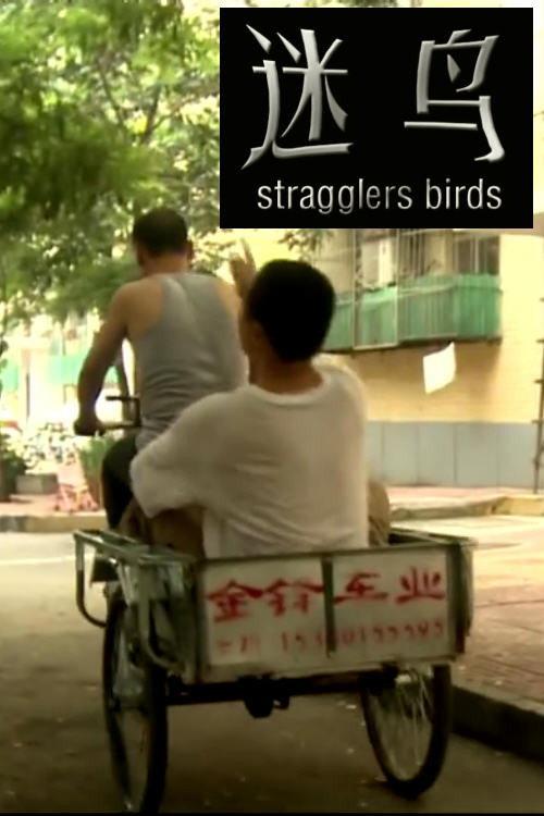 Stragglers Birds 2011 official movie poster