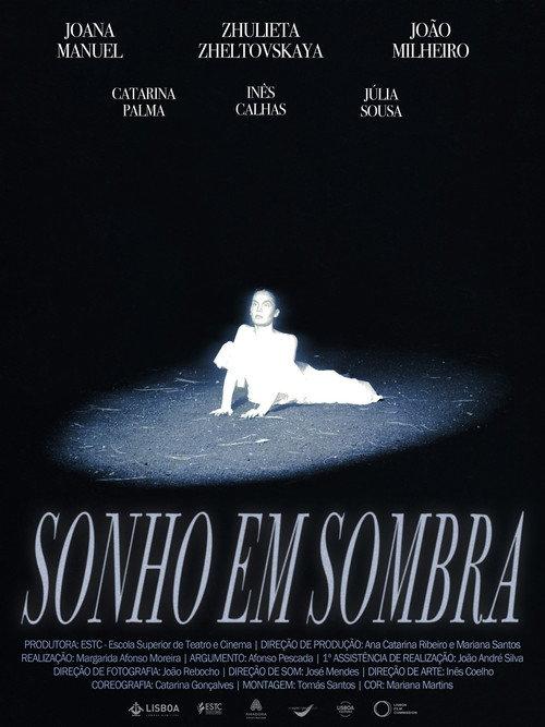 Dream in Shadow  official movie poster