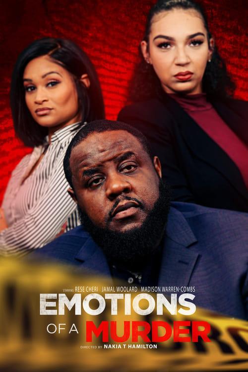 Emotions of a Murder 2024 official movie poster