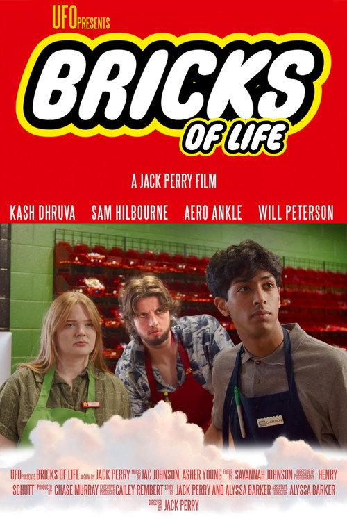 Bricks of Life 2024 official movie poster