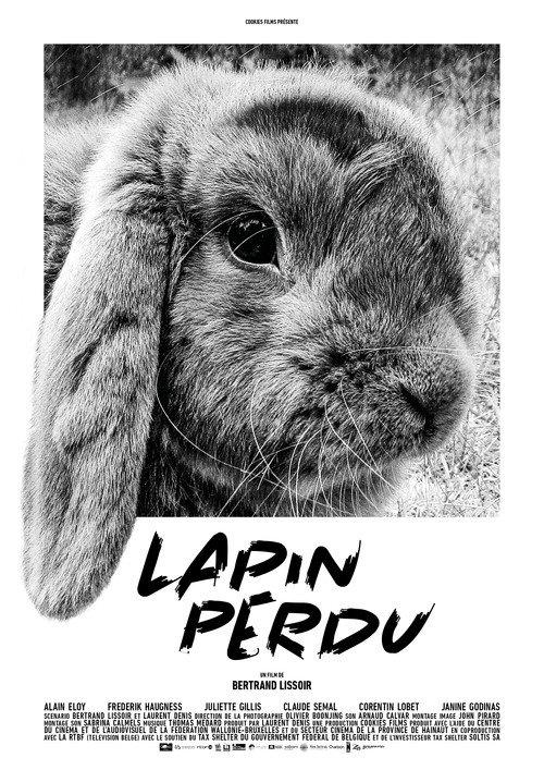 Lost Rabbit 2019 official movie poster