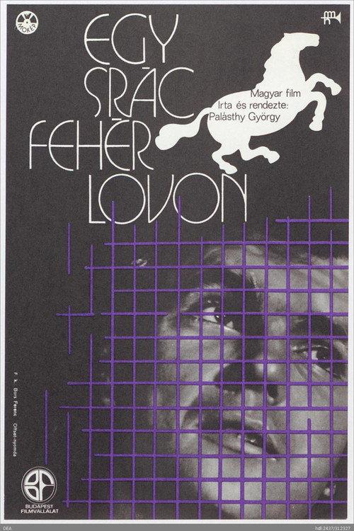 A Lad on White Horse 1973 official movie poster