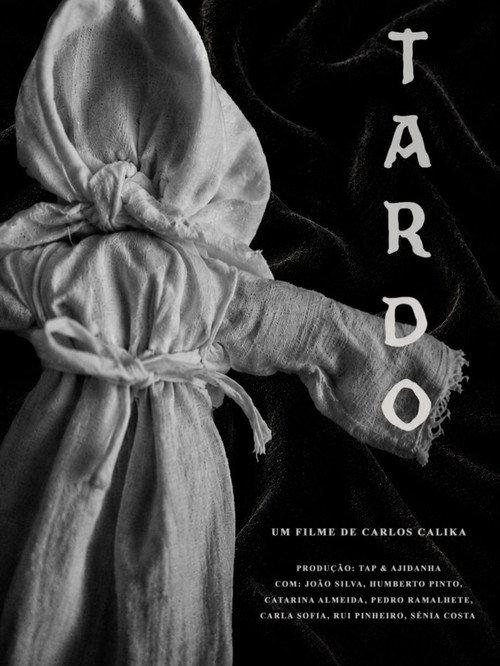 Tardo 2026 official movie poster