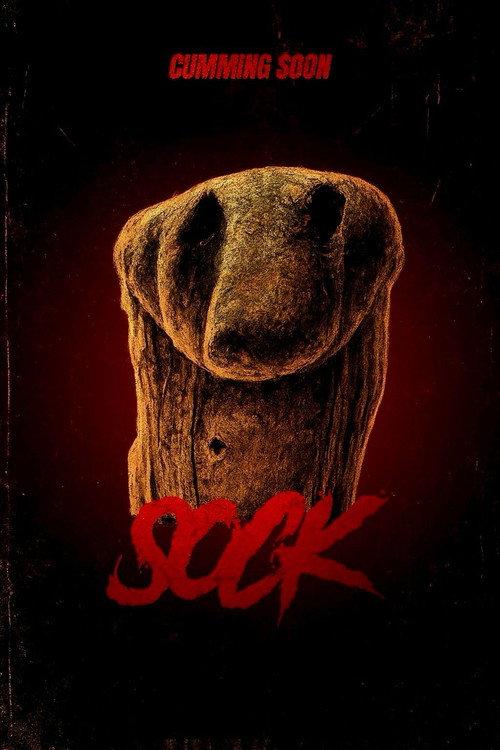 Sock 2025 official movie poster