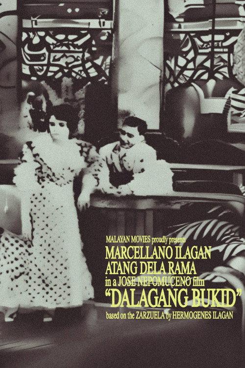 Country Maiden 1919 official movie poster