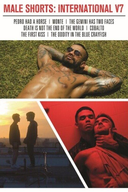 Male Shorts: International V7 2024 official movie poster
