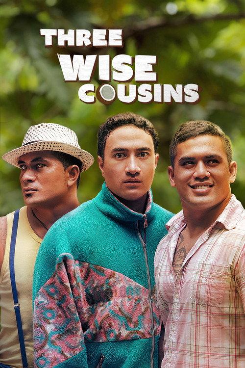 Three Wise Cousins 2016 official movie poster