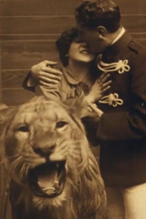 Love Amongst the Lions 1912 official movie poster