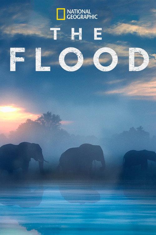 The Flood 2018 official movie poster