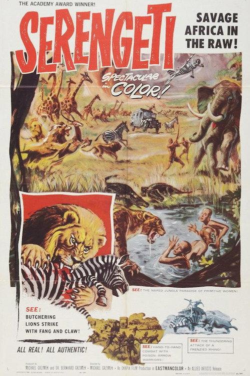 Serengeti Shall Not Die 1959 official movie poster