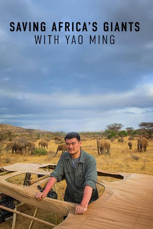 Saving Africa's Giants With Yao Ming 2014 official movie poster