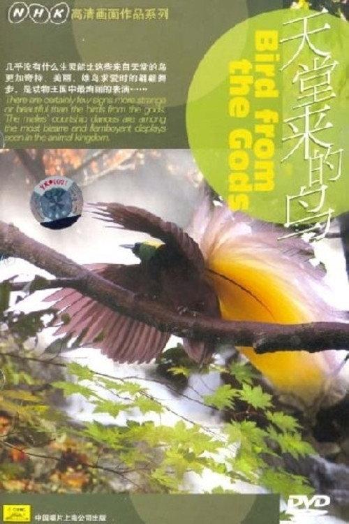 Birds from the Gods 2004 official movie poster