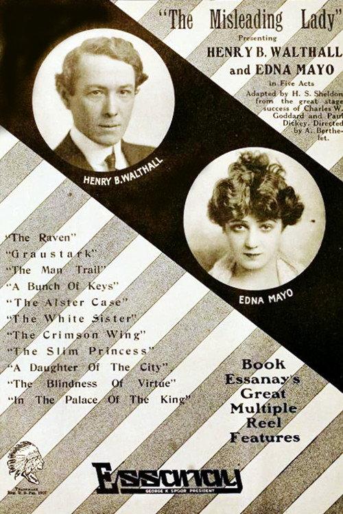 The Misleading Lady 1916 official movie poster
