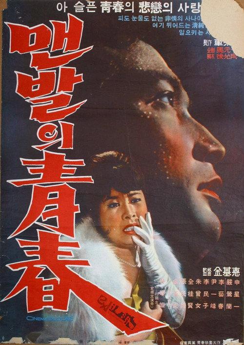 The Barefooted Young 1964 official movie poster