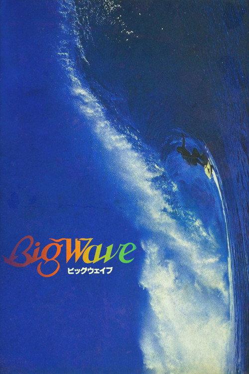 Big Wave 1984 official movie poster