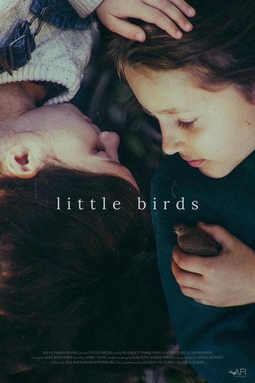 Little Birds 2026 official movie poster