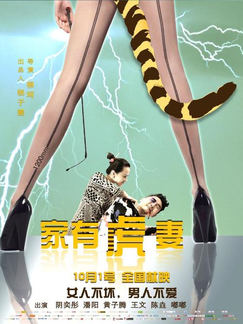 A Tiger Wife 2015 official movie poster