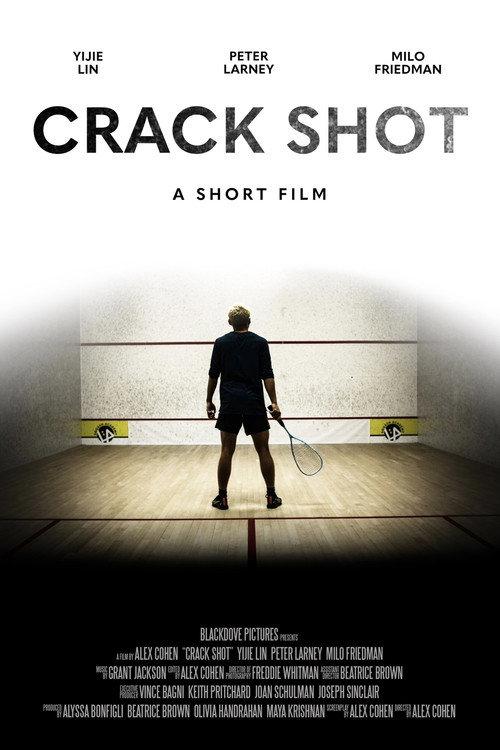 Crack Shot 2023 official movie poster