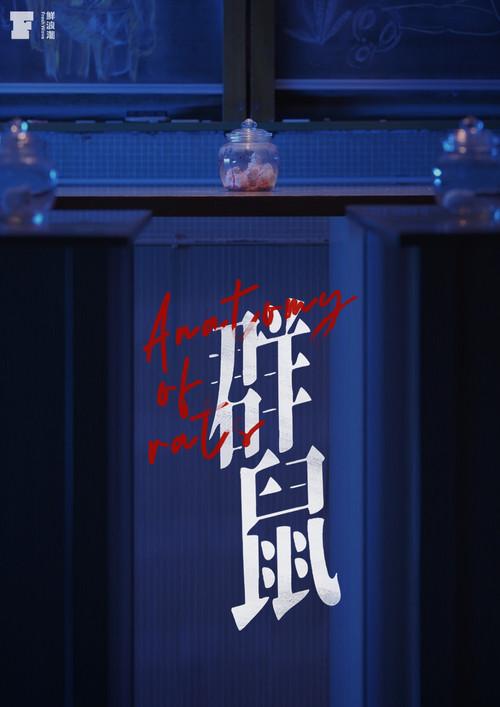 Anatomy of Rats 2022 official movie poster