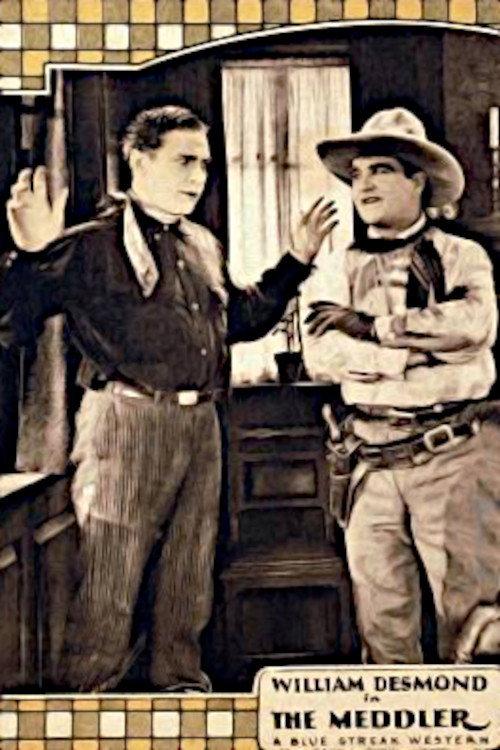 The Meddler 1925 official movie poster