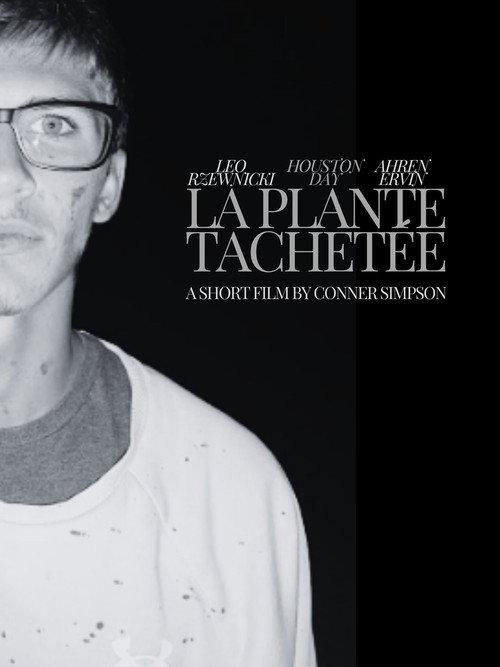 The Spotted Plant 2024 official movie poster